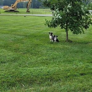 Meet your Posher, Libby